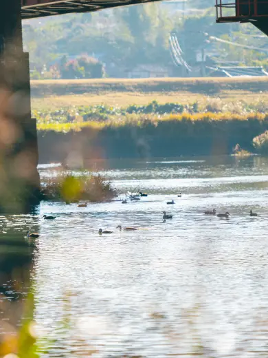 玉名の風景